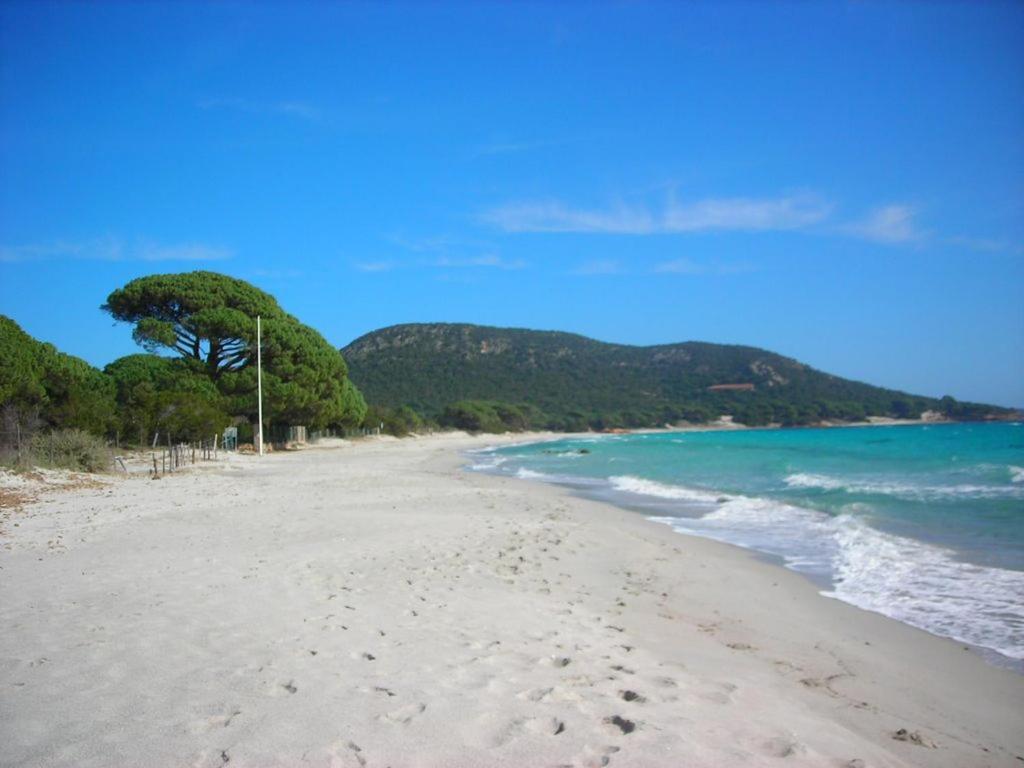 Villa Largia Porto Vecchio - A 5 Min Des Plages De Palombaggia - Calme- Climatisation Kültér fotó
