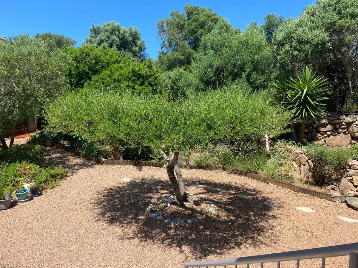 Villa Largia Porto Vecchio - A 5 Min Des Plages De Palombaggia - Calme- Climatisation Kültér fotó